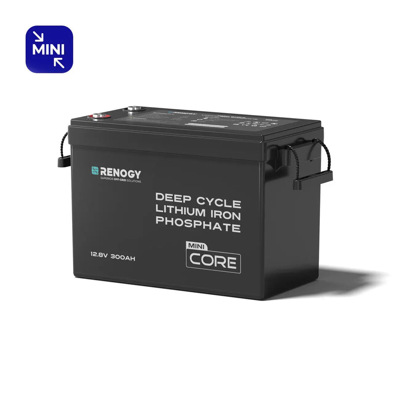 Renogy 300Ah LiFePO4 Battery - Core Mini